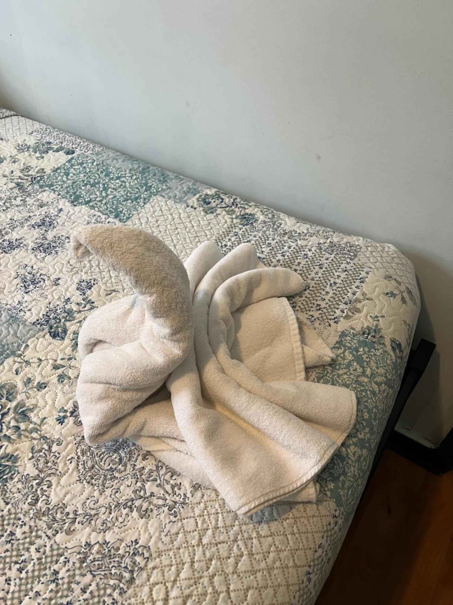 Hostal Victoria Punta Arenas Exteriör bild